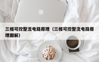 三相可控整流电路原理（三相可控整流电路原理图解）