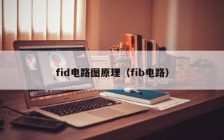 fid电路图原理（fib电路）