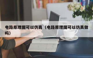 电路原理图可以仿真（电路原理图可以仿真做吗）