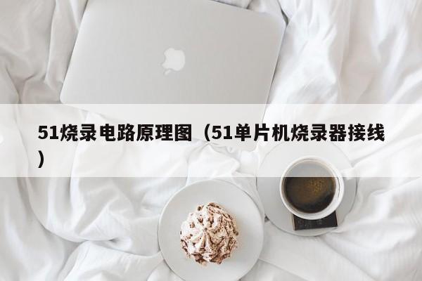 51烧录电路原理图（51单片机烧录器接线）-第1张图片-9499威尼斯官网-威尼斯9499登录入口