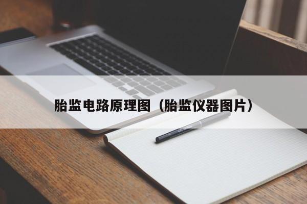 胎监电路原理图（胎监仪器图片）-第1张图片-9499威尼斯官网-威尼斯9499登录入口