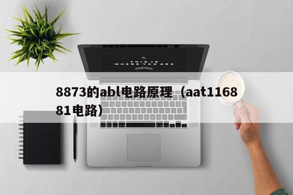 8873的abl电路原理（aat116881电路）-第1张图片-9499威尼斯官网-威尼斯9499登录入口