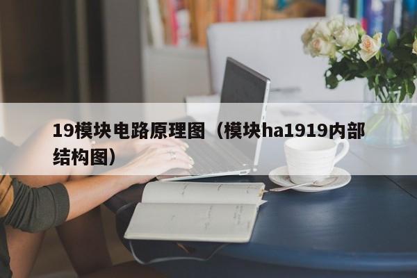 19模块电路原理图（模块ha1919内部结构图）-第1张图片-9499威尼斯官网-威尼斯9499登录入口