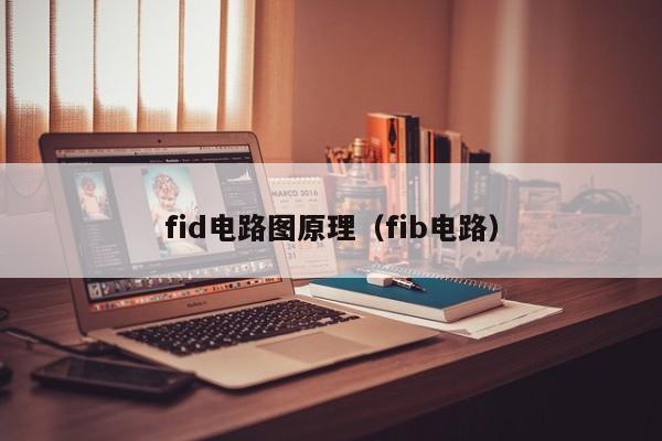 fid电路图原理（fib电路）-第1张图片-9499威尼斯官网-威尼斯9499登录入口