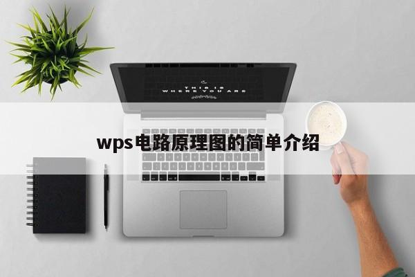 wps电路原理图的简单介绍-第1张图片-9499威尼斯官网-威尼斯9499登录入口