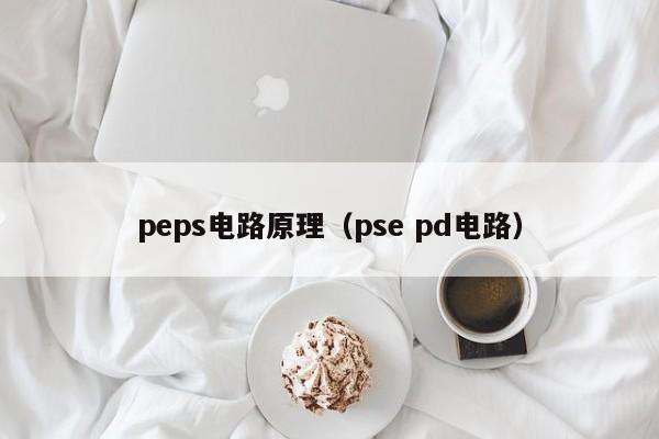 peps电路原理（pse pd电路）-第1张图片-9499威尼斯官网-威尼斯9499登录入口